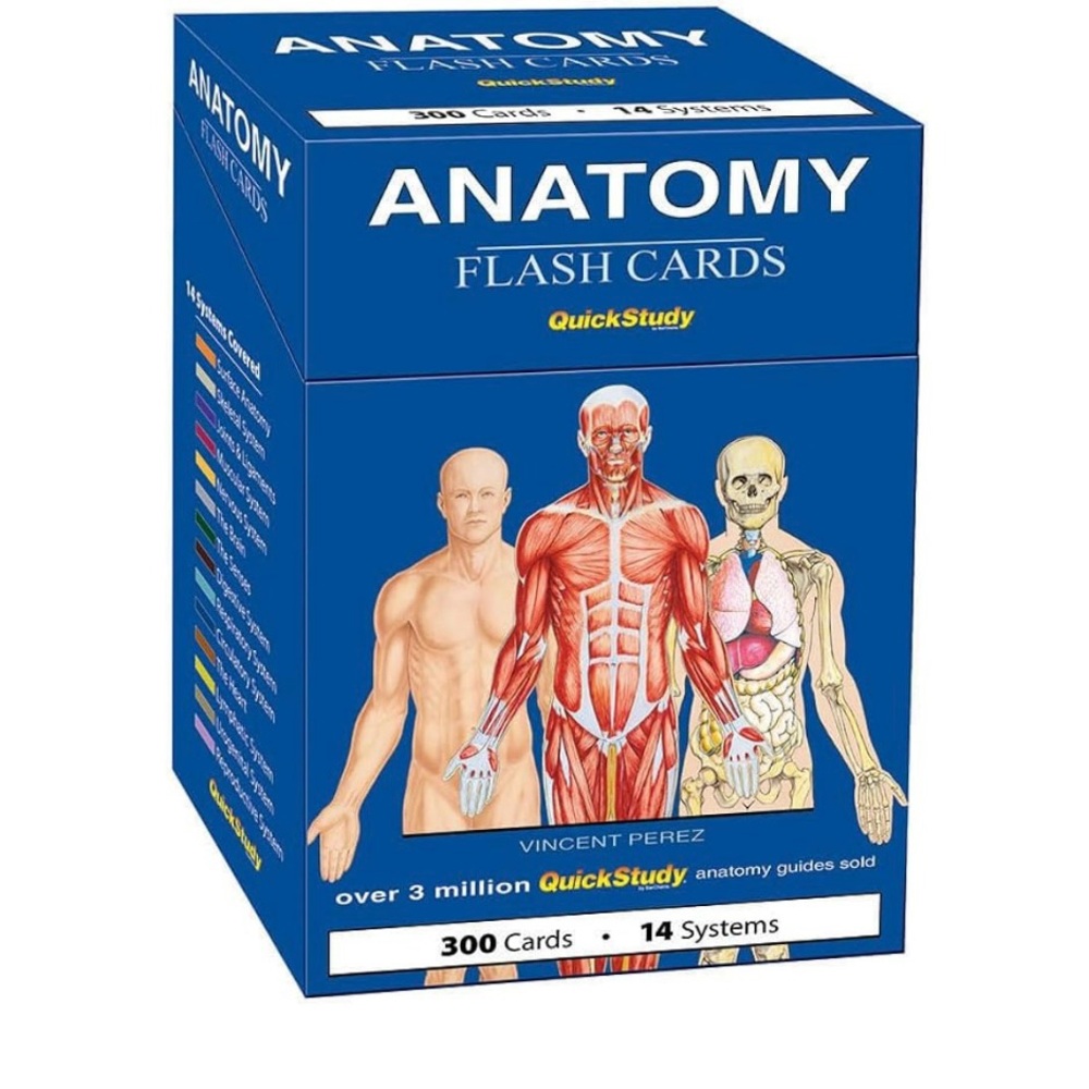 Anatomy Flash Cards by QuickStudy